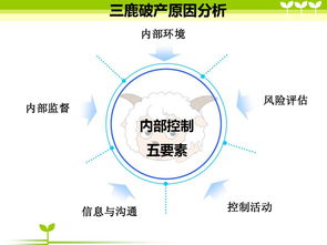 研究風(fēng)險(xiǎn)管理可以用的方法有哪些
