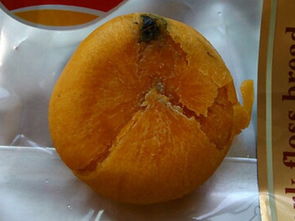 防止食物發(fā)霉的方法都有哪些