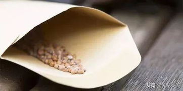 種子干燥有哪些基本方法