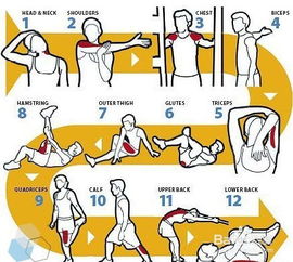 怎樣能讓身體長(zhǎng)高的方法有哪些