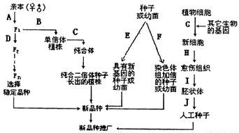 防止流砂現(xiàn)象的途徑和方法有哪些