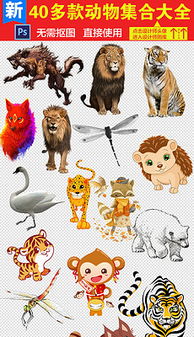 動物形象記憶方法有哪些特點