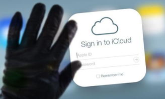 哪些是利用網(wǎng)絡(luò)收集市場信息的方法6