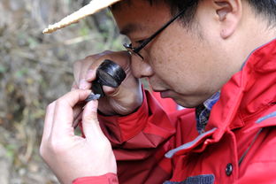 巖性識別方法有哪些