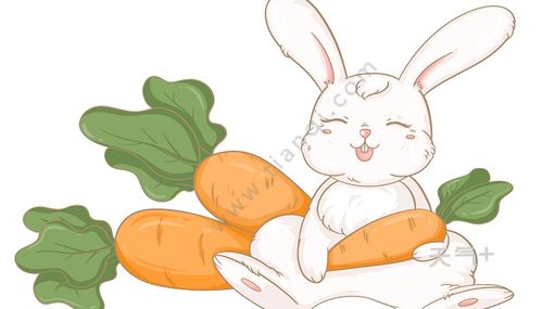 動(dòng)物的避暑方法有哪些簡(jiǎn)筆畫