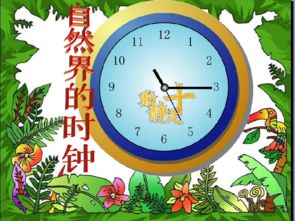 自然界的時(shí)鐘中采用了哪些說(shuō)明方法