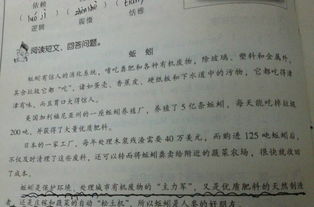 虎鯨這篇短文運用了哪些說明方法