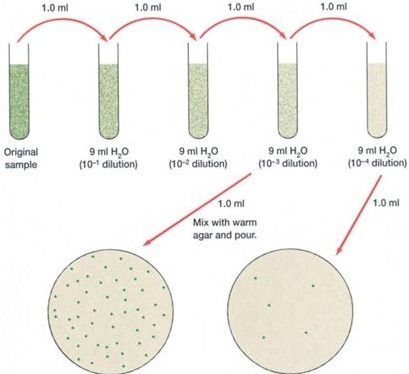 菌計數(shù)方法有哪些