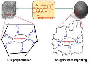 本體聚合方法適用于哪些聚合物