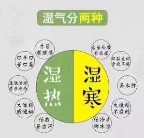 最好最快去濕氣方法有哪些