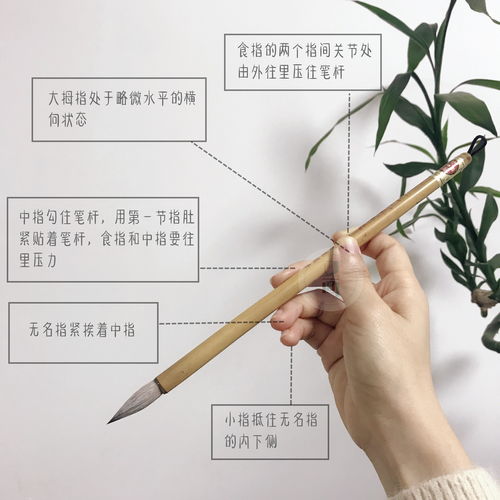 中國畫的基本運筆方法有哪些