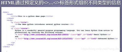 信息組織方法有哪些
