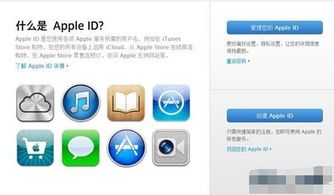 關(guān)于蘋果手機(jī)app有哪些問題怎么解決方法