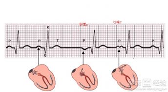 過性過程與方法有哪些內(nèi)容