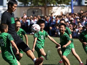 體育復(fù)式教學(xué)方法有哪些