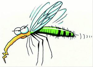 防蚊子方法有哪些