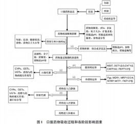 哪些方法促進(jìn)口服藥物吸收