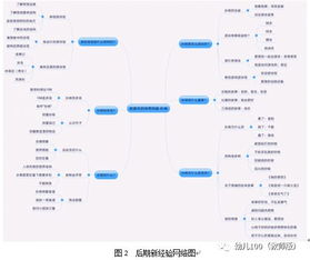 幼兒運動評估方法有哪些方法有哪些