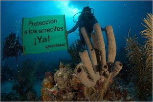 海洋酸化解決方法哪些