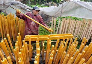 制香方法有哪些