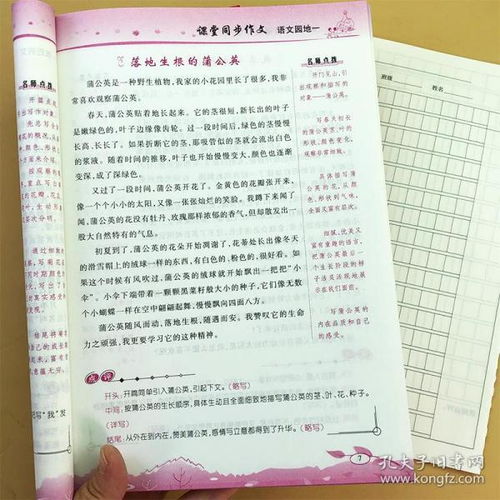 小學(xué)生閱讀與作文方法有哪些內(nèi)容