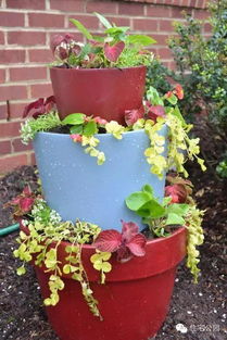 種花的方法有哪些