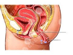 哪些方法能治肛門瘙癢