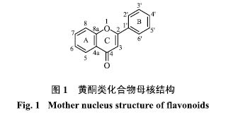 黃酮類化合物還有哪些提取方法