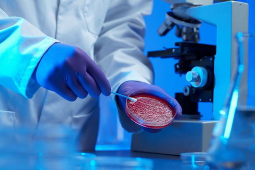 病理學(xué)常用的研究方法和臨床應(yīng)用包括哪些