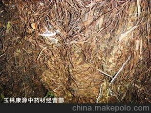 金沙藤有哪些提取方法