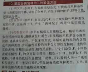 分離定律的驗證方法有哪些