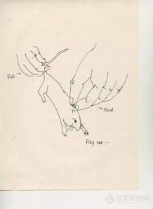 實驗動物處死方法有哪些