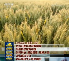 有哪些方法可以讓鹽咸地變良田