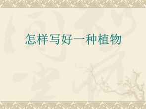寫植物作文的方法有哪些特點(diǎn)
