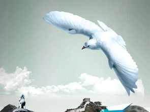 古代的信息傳送方法有哪些