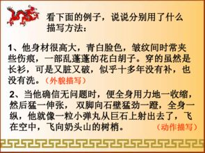 小學生常見的人物描寫方法有哪些