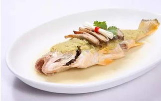 養(yǎng)生魚方法有哪些