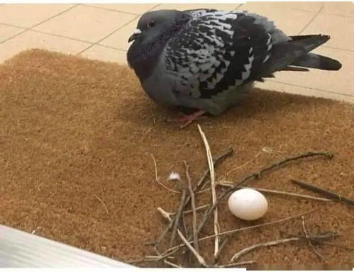 本科論文方法有哪些內(nèi)容