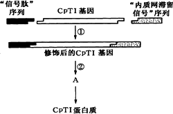 計量標準的管理方法有哪些