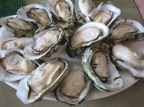 生蠔的清洗方法有哪些