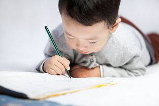 學會啦哪些寫字的方法