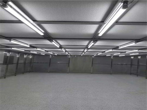 常見的凈化方法有哪些