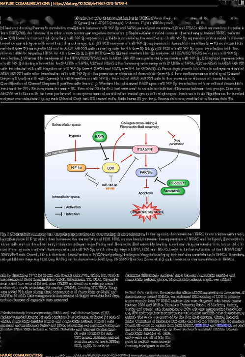 克服抗藥性問(wèn)題的方法有哪些