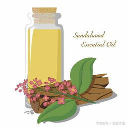 中藥精油有哪些提煉方法