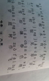 古詩中寫玩雪的詩句