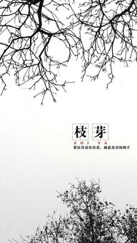 關(guān)于枝芽的詩(shī)句