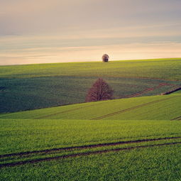 關(guān)于贊嘆蒼天的詩句
