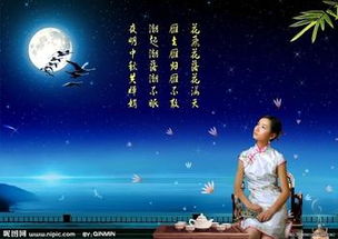 關(guān)于佳節(jié)思念的詩句