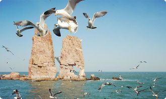 關(guān)于長(zhǎng)島萬(wàn)鳥島詩(shī)句