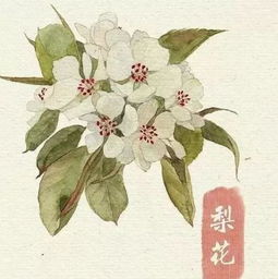 關(guān)于鵬龍的詩句